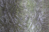 Hinxhill fibreglass roof work